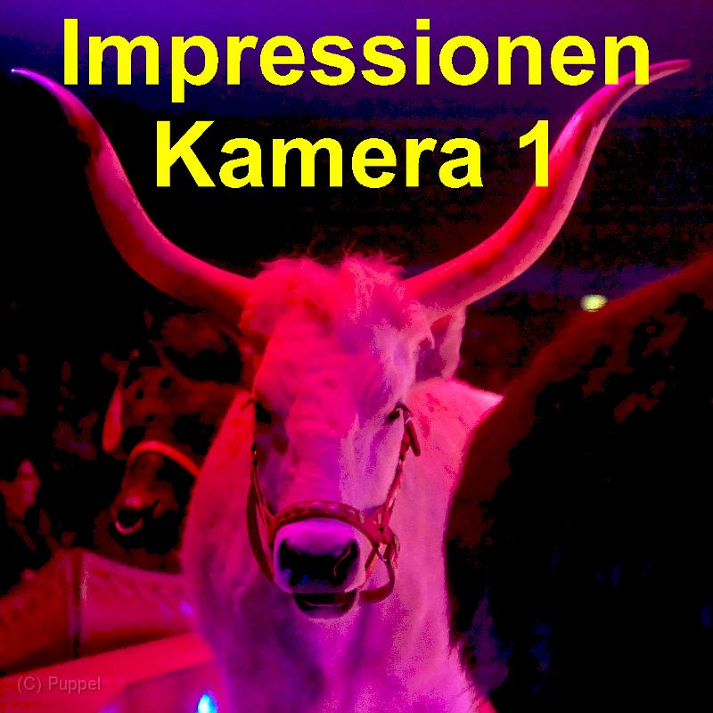 A Kamera 1.jpg
